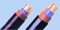WZ005高压交联聚乙烯 Cu/XLPE/Steel tape/PVC power cable