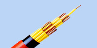 WZ006 Control cable